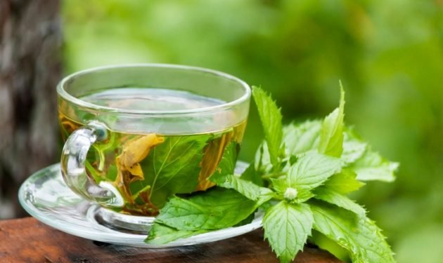 Los mejores Té antioxidantes 