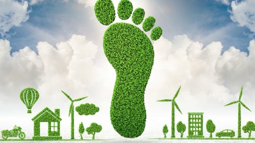 Tecnologías de captura de carbono y adaptación climática